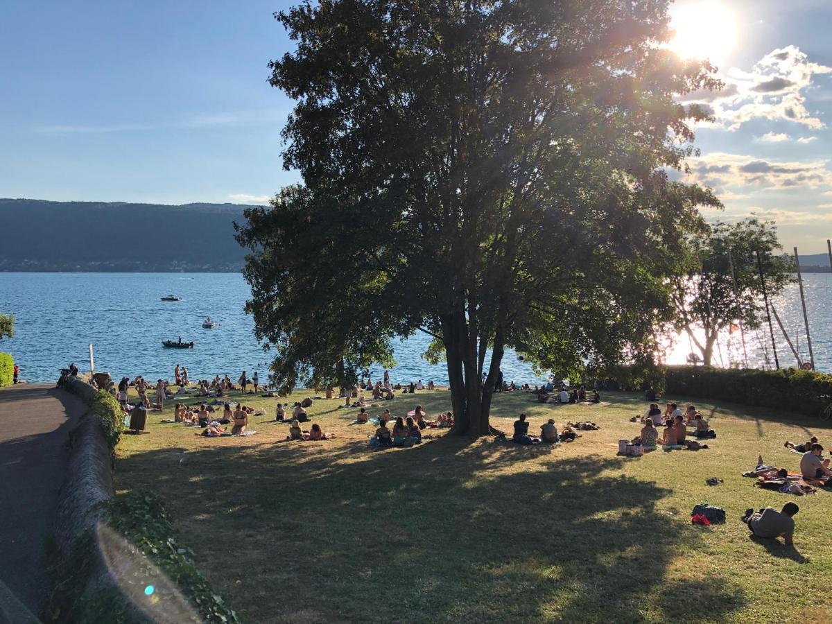Le grand duplex du lac Veyrier-du-Lac Extérieur photo
