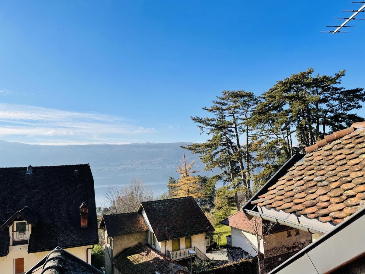 Le grand duplex du lac Veyrier-du-Lac Extérieur photo